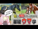 【コント】何も解説する気がない！基礎ウマ学