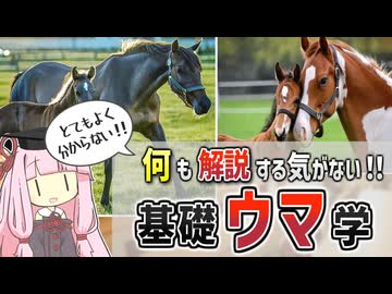 【コント】何も解説する気がない！基礎ウマ学