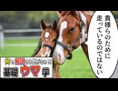 【コント】ウマの生態、解説する気はあまりない【基礎ウマ学】