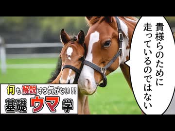ウマの生態、解説する気はあんまりない【基礎ウマ学】