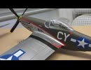 フォッケウルフ　Fw190 D 1/48  TAMIYA & P-51 D ムスタング　1/48　OHTAKI