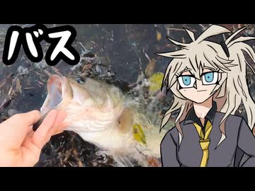 折れた竿でバスを釣る【春日部つむぎ】