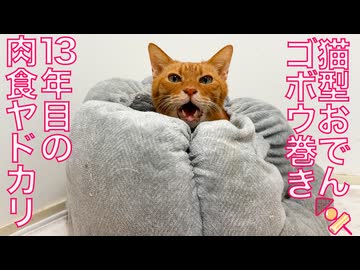 猫型おでんの具、ごぼう巻きになる