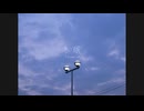 【歌ってみた】 冬眠 - ヨルシカ - / covered by めあ