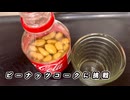 【コーラ】ピーナッツコークに挑戦してみた【ピーナッツ】