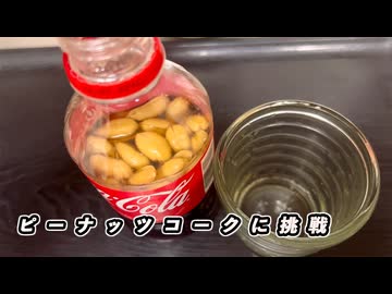 【コーラ】ピーナッツコークに挑戦してみた【ピーナッツ】