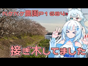 2026年4月3日　農作業日誌P1684　みかん屋さんに行ったら接ぎ木のお仕事発生