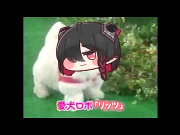 大剣ロボ「リッツ」