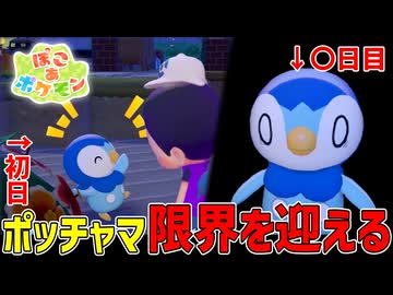 清掃会社に入社したポッチャマの末路…【ぽこあポケモン】#17