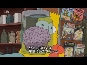 ホモと学ぶバートの脳