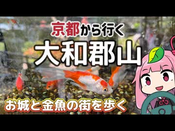京都から行くドライブスポット！大和郡山【続・京都から行く初心者ドライブスポット #46 】