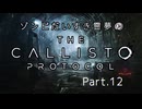 【The Callisto Protocol】ゾンビだいすき霊夢のカリストプロトコル Part.12【ゆっくり】 (2)