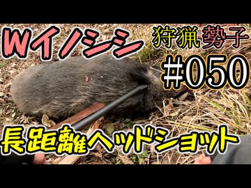 狩猟勢子動画＃050　Wイノシシ長距離ヘッドショット