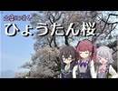 山奥の公園に咲くひょうたん桜！【ソフトウェアトーク旅行】