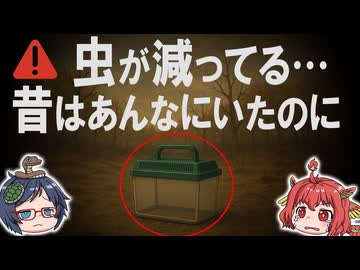 【衝撃】昔はいっぱいいたのに…最近、虫が激減してない？