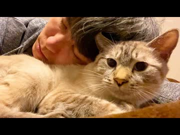 毎日一緒にベッドで眠って朝には仲良く二度寝しちゃう猫と飼い主【猫を飼ってる気持ちになれる動画】