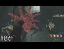 こまめなレベリオが生んだ悲劇【ホグワーツ・レガシー】#86