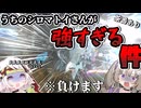 【ワイルドハーツ】うちのシロマトイさんが強すぎる件 ※負けます 【ボイスボックス実況】
