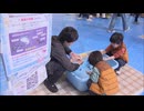 “生きた化石”カブトガニ触る体験も　北九州市の商業施設で「移動水族館」