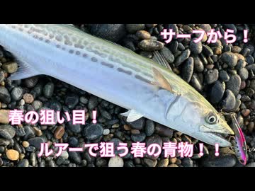 春のサーフからルアーで旬の青物を狙う！ サーフショアジギング！【VOICEROID フィッシング】ずんだもん・四国めたん