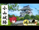 【城郭登城祭第三陣】ふらふらとお城をめぐる【小山城跡とか】