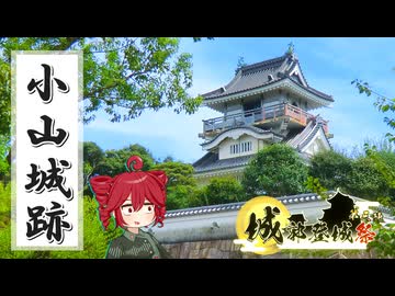 【城郭登城祭第三陣】ふらふらとお城をめぐる【小山城跡とか】