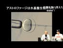第158回 『プロジェクト・ヘイル・メアリー』と思弁進化