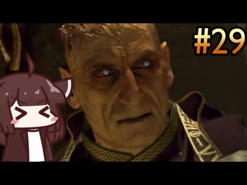 #29 超低負荷設定なバイオre:4たん