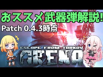 【EFT ARENA】【解説】現環境のおすすめ武器と弾解説！！patch 0.4.3【タルコフアリーナ/IA/ONE】