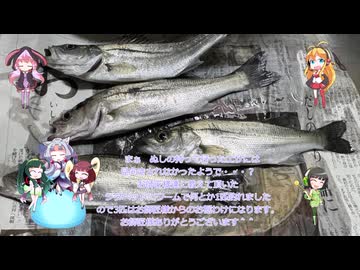 東北姉妹と同居人！！（仮）＃23　セイゴの素揚げのサラダとお吸い物？