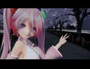 【MMD】  裏表ラバーズ  【む～ぶ式桜ミク】
