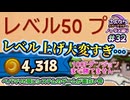 ペーパーマリオRPGのシステムで作られた「さよならエバーアフター」が面白すぎるので実況（むずかしい&ノーダメ） part32