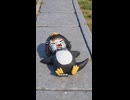 お前らが好きなググガガペンギン