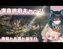 【雑談散歩】深夜徘徊キャッツ！