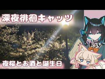 【雑談散歩】深夜徘徊キャッツ！