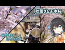 【宮舞モカ車載】みやまい、ふらり、ひとりたび【#5 ダム湖の桜を見に行こう】