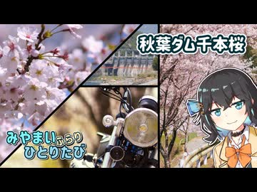 【宮舞モカ車載】みやまい、ふらり、ひとりたび【#5 ダム湖の桜を見に行こう】