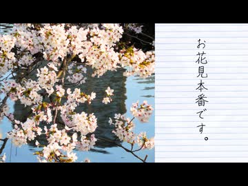 【春の特別企画】昼間の不忍池の桜を見に行ってきた（第9話）