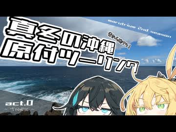 雪から逃げろ！真冬の沖縄原付ツーリング 0日目【VOICEPEAK車載】