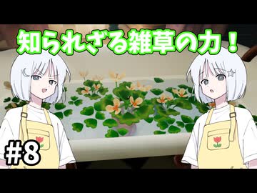 【COEIROINK実況】英国式庭園で植物研究！【Botany Manor #8】