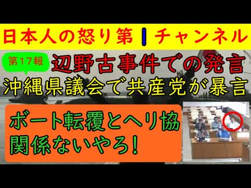 【第１７報！辺野古事故で沖縄県議が恐ろしい発言をしていた】遺族手記の最新編が先ほど公開「第３者委員会の内容に大きな不安」共産党田村委員長が明らかにおかしな発言をする