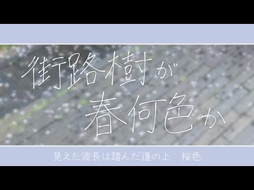 街路樹が春何色か / 夢ノ結唱PASTEL