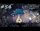 ムダにビビりながらゆく『ホロウナイト』part54
