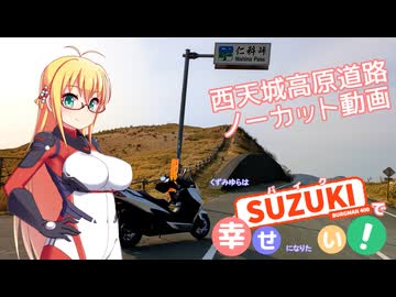 【バイク車載】 ただ西天城高原線を走って幸せになりたい！【シリーズ25】