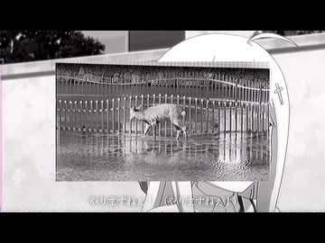 今月は毎日投稿？