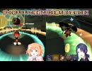 【マリカにじさんじ杯マリオカートワールド】ゴール前ギリギリの接戦で1位を勝ち取る雲母たまこ【にじさんじ杯】