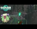 【ゼルダの伝説 ティアーズ オブ ザ キングダム】女神の剣は王国と共に泣く#57