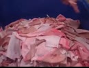ホモと学ぶ豚の皮から抽出したコラーゲンがグミになるまで