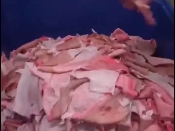 ホモと学ぶ豚の皮から抽出したコラーゲンがグミになるまで