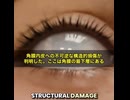 mRNAワクチン接種後わずか75日で角膜内皮細胞が8.4%減少！不可逆的損傷で失明リスクも…ファイザー接種の健康な若年成人64名で確認された衝撃研究